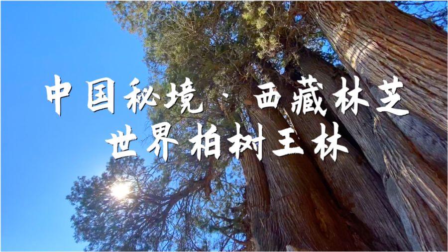 以前的有钱人喜欢穿西装,但为何现在喜欢穿休闲的呢?—解答你疑问的好去处