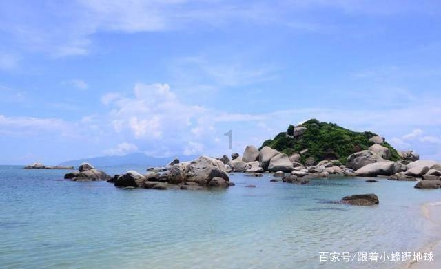 探索宠物不想养了 在哪里可以卖宠物狗?,获得知识星球的独特洞见