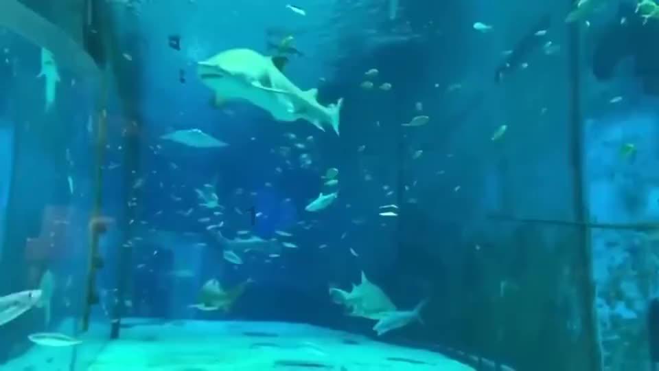微信不是共同好友可以看到点赞数吗?-专业问答交流平台